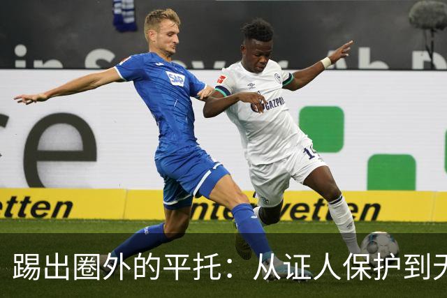 踢出圈外的平托：从证人保护到无人问津